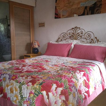 Bed and Breakfast Poggio Del Sole Bassano del Grappa Exteriér fotografie