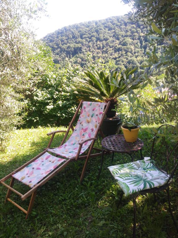 Bed and Breakfast Poggio Del Sole Bassano del Grappa Exteriér fotografie